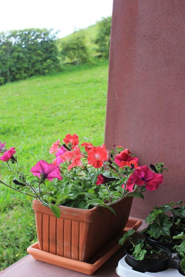 Quinta Da Pavoa - Cottage House Vila Franca do Campo Exteriér fotografie