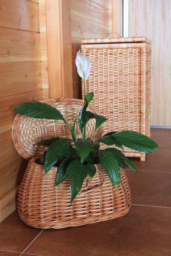 Quinta Da Pavoa - Cottage House Vila Franca do Campo Exteriér fotografie